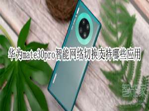 说说6mate30pro智能网络切换支持什么应用。