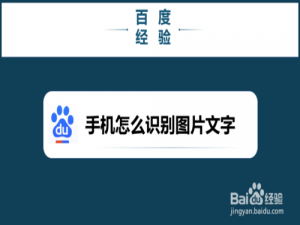 说说6手机如何识别图片文字。