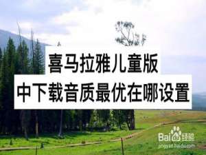 说说6喜马拉雅儿童版下载音质最优在什么地方设置。