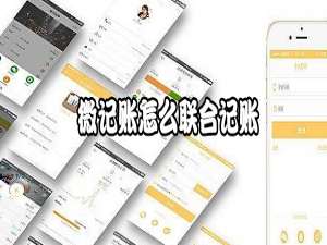 说说6微记账如何联合记账。