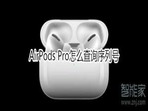 说说6AirPods Pro如何查询序列号。
