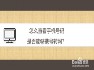 说说6如何查看手机号码是否能够携号转网。