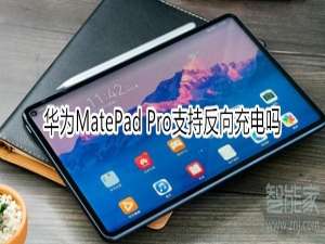 说说6华为MatePad Pro可以反向充电吗。