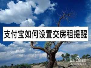 说说6支付宝如何设置交房租提醒。