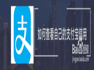 说说6支付宝信用分在哪里看。
