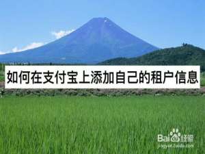 说说6怎么在支付宝上添加自己的租户信息。