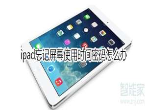 说说6ipad忘记屏幕使用时间密码如何处理。