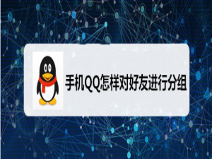 说说6QQ如何对好友进行分组。