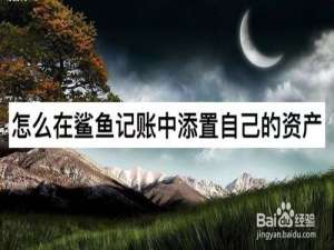 说说6如何在鲨鱼记账中添置自己的资产。