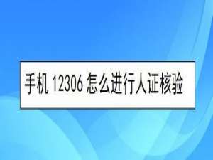 说说612306如何进行人证核验。