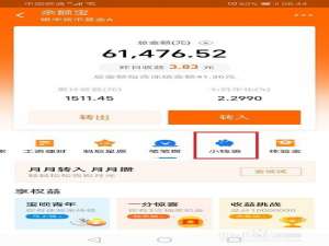 说说6支付宝小钱袋的钱如何使用。