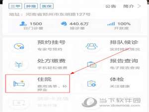 说说6大象就医如何查询住院费用。