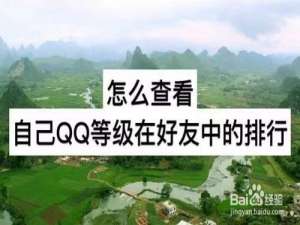 说说6如何查看自己QQ等级在好友中的排行。