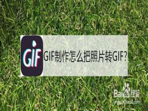 说说6怎么把照片制作成动图。