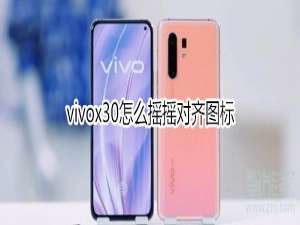 说说6vivox30怎么摇摇对齐图标。