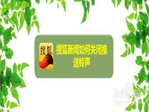 说说6搜狐新闻怎么关提示铃声。