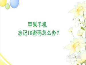 说说6苹果手机icloud密码忘了怎么办。