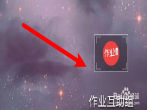 说说6作业互助组App怎么绑定手机号。