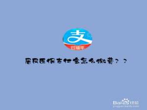 说说6支付宝怎么交医保。