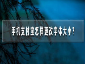 说说6支付宝如何设置字体大小。