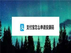 说说6如何使用支付宝申领安康码。