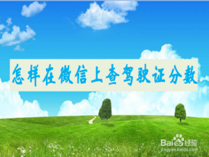 说说6微信在哪可以查驾驶证分数。