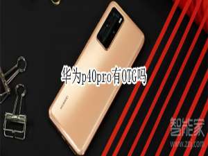 说说6华为p40pro支持OTG吗。