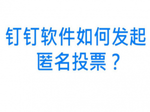 说说6钉钉匿名投票功能怎么用。