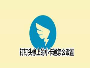 说说6如何设置钉钉头像上的小卡通。