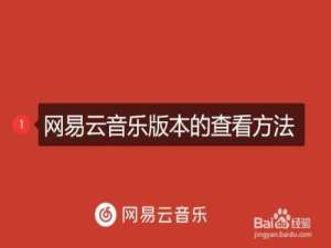说说6在哪里查询网易云音乐版本信息。
