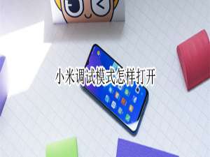 说说6小米如何开启调试模式。