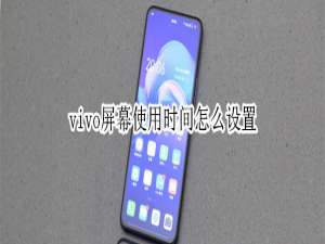 说说6vivo屏幕使用时间在哪设置。