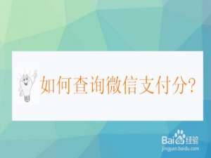 说说6微信支付分怎么查询。