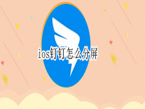 说说6苹果版钉钉分屏功能怎么用。