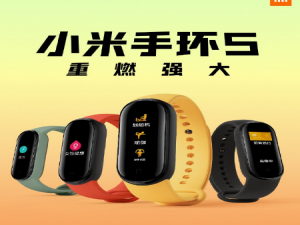 说说6小米手环5是什么样的。