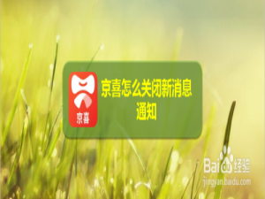 说说6京喜新消息通知在哪关。
