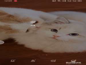 说说6oppo关闭三指长按截屏方法我来说说。