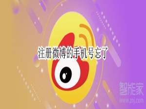 说说6微博手机号忘了怎么找回登录名。
