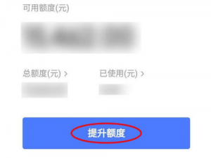 说说6京东金融怎么提升白条额度。
