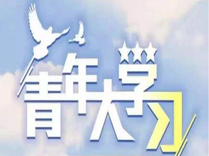 说说6青年大学习以下哪些制度保证了党对人民军队的绝对领导。