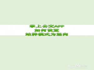 说说6掌上公交怎么设置竖向站牌。