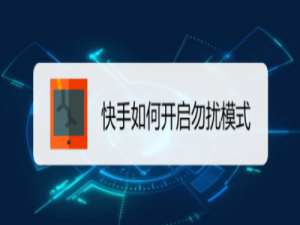 说说6快手勿扰模式怎么设置。