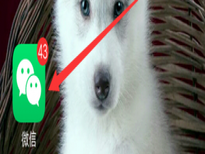说说6怎么用微信借阅苏州图书馆的图书。