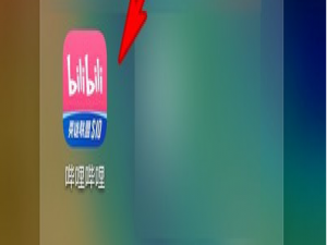 说说6哔哩哔哩双指旋屏手势怎么开启。