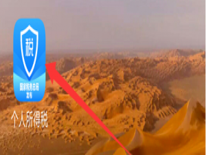 说说6个人所得税家庭成员信息去哪添加。