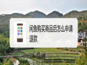 说说6闲鱼怎么申请商品退款。