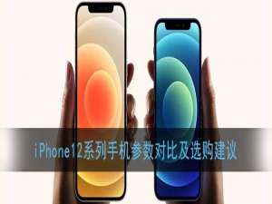 说说6iphone12系列买哪一个好。