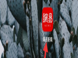 说说6网易新闻极简主义皮肤怎么设置。