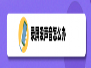 说说6录屏没声音怎么办。