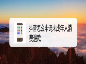 说说6抖音未成年人消费退款怎么申请。
